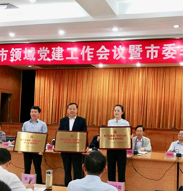 江淮電機被授予省級“雙強六好”非公企業(yè)黨組織稱(chēng)號。 
